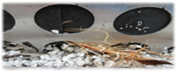 Buildings 13 02164 i030