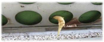 Buildings 13 02164 i036