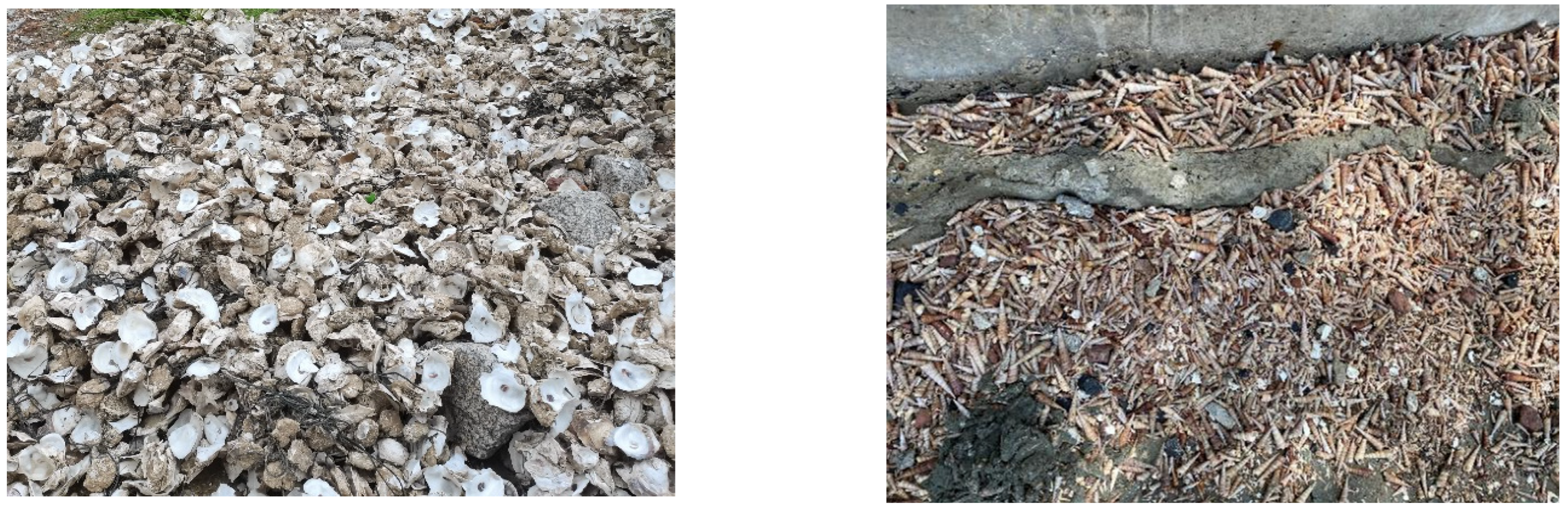 Buildings 13 02226 g001