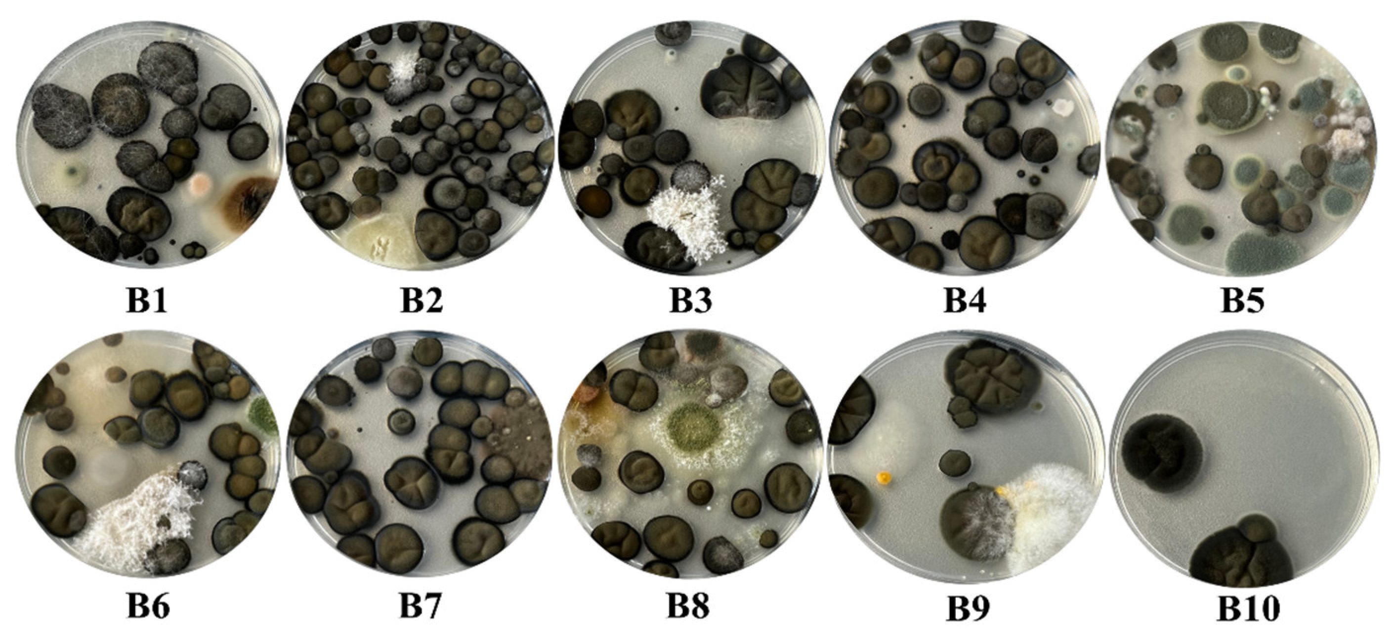 Buildings 13 02277 g007