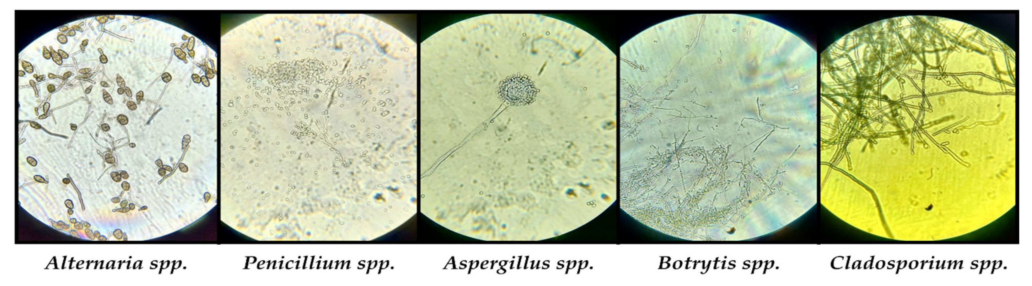 Buildings 13 02277 g010