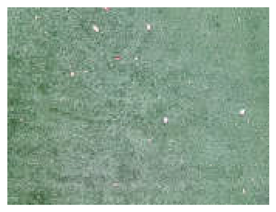 Buildings 13 02369 i006