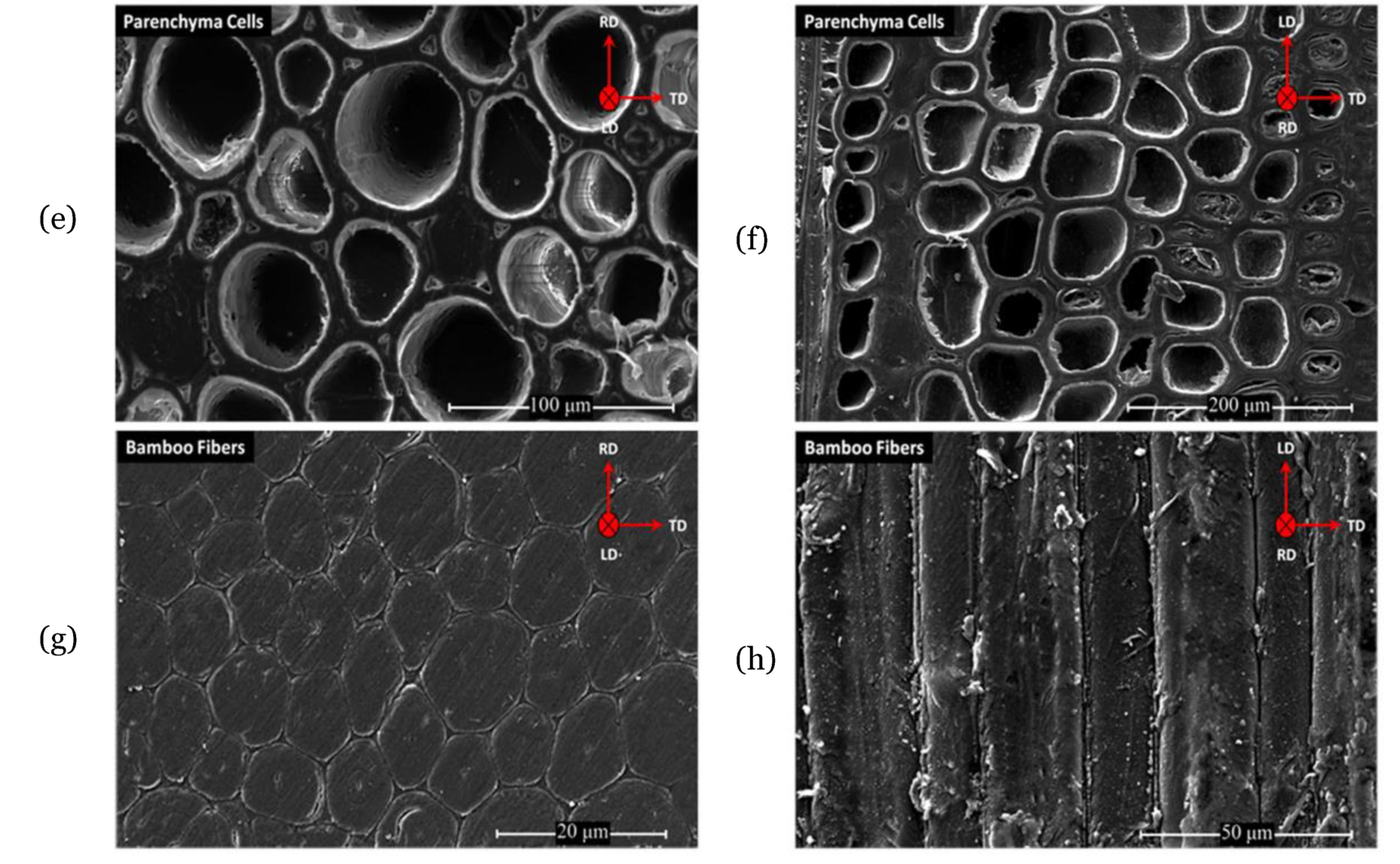 Buildings 13 02449 g010b