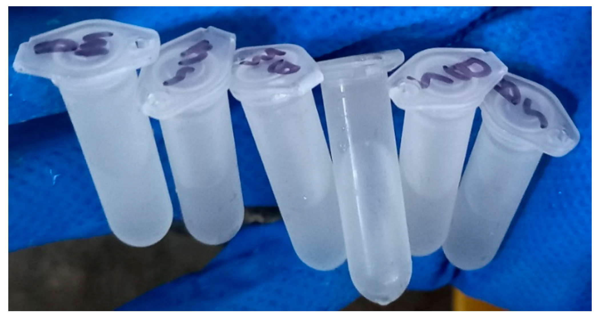 Buildings 13 02668 g002