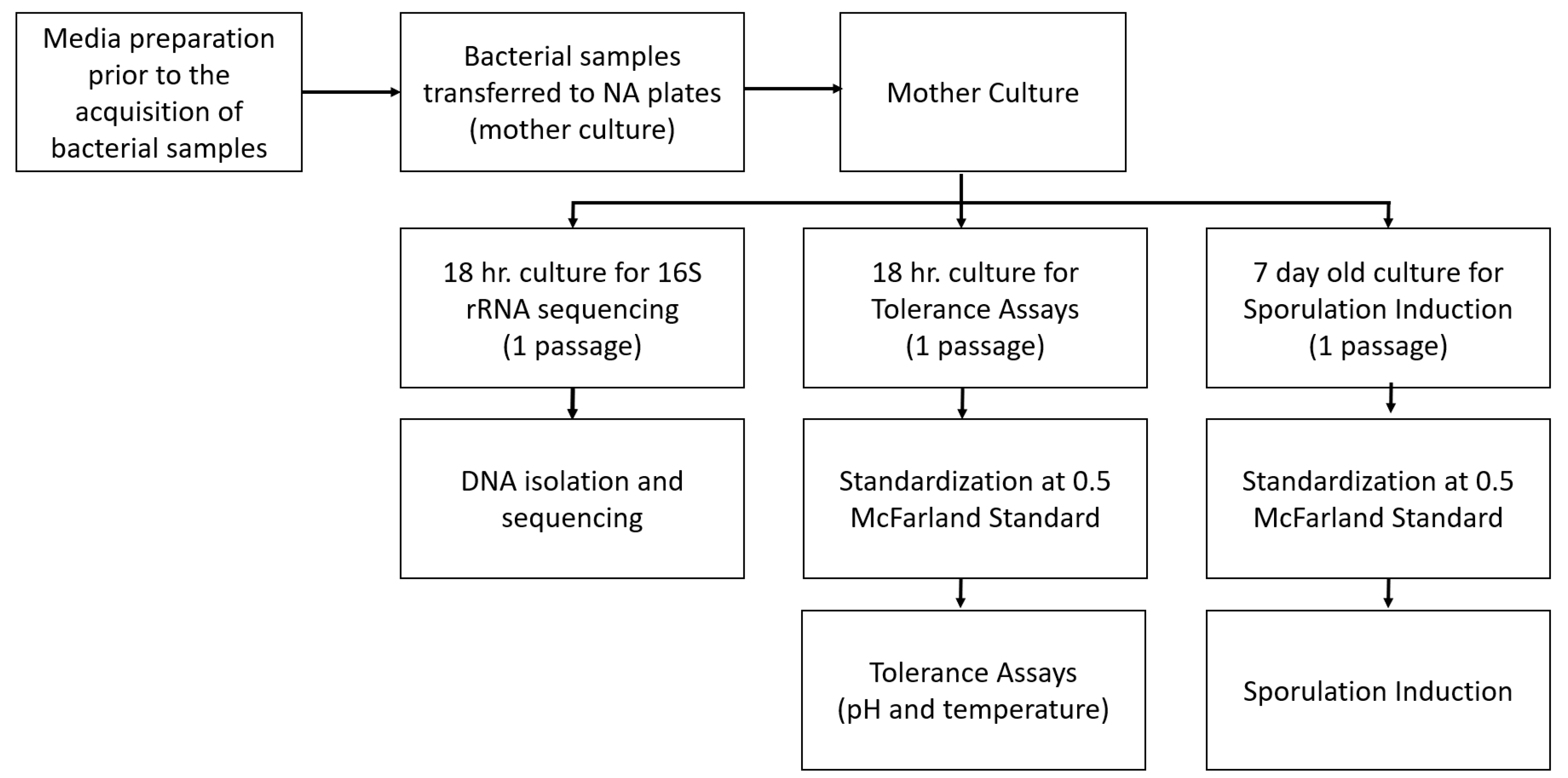 Buildings 13 02668 g004