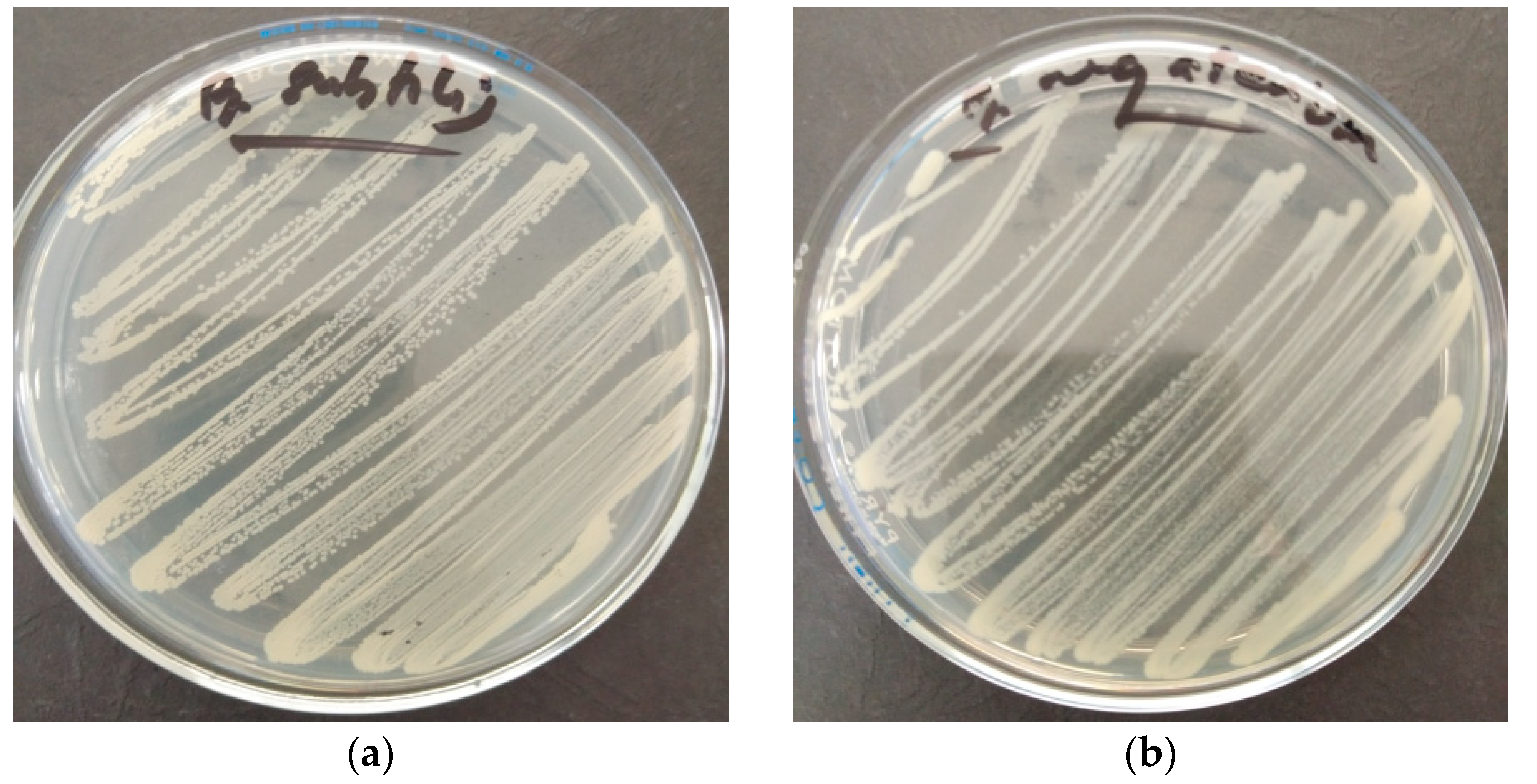 Buildings 13 02668 g005