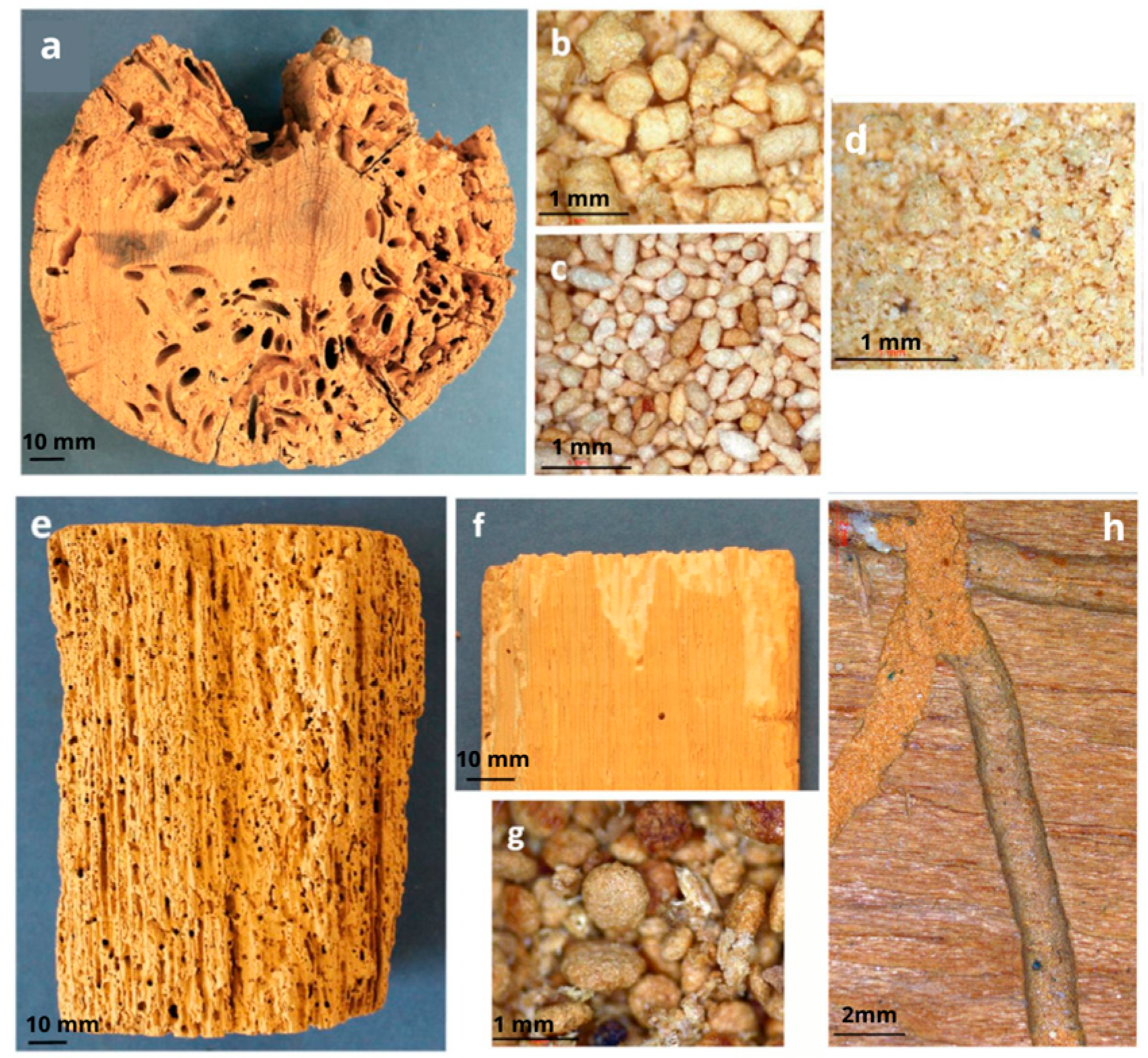 Buildings 13 02929 g003