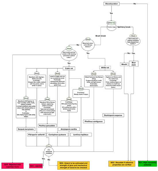 Buildings 13 02929 g006