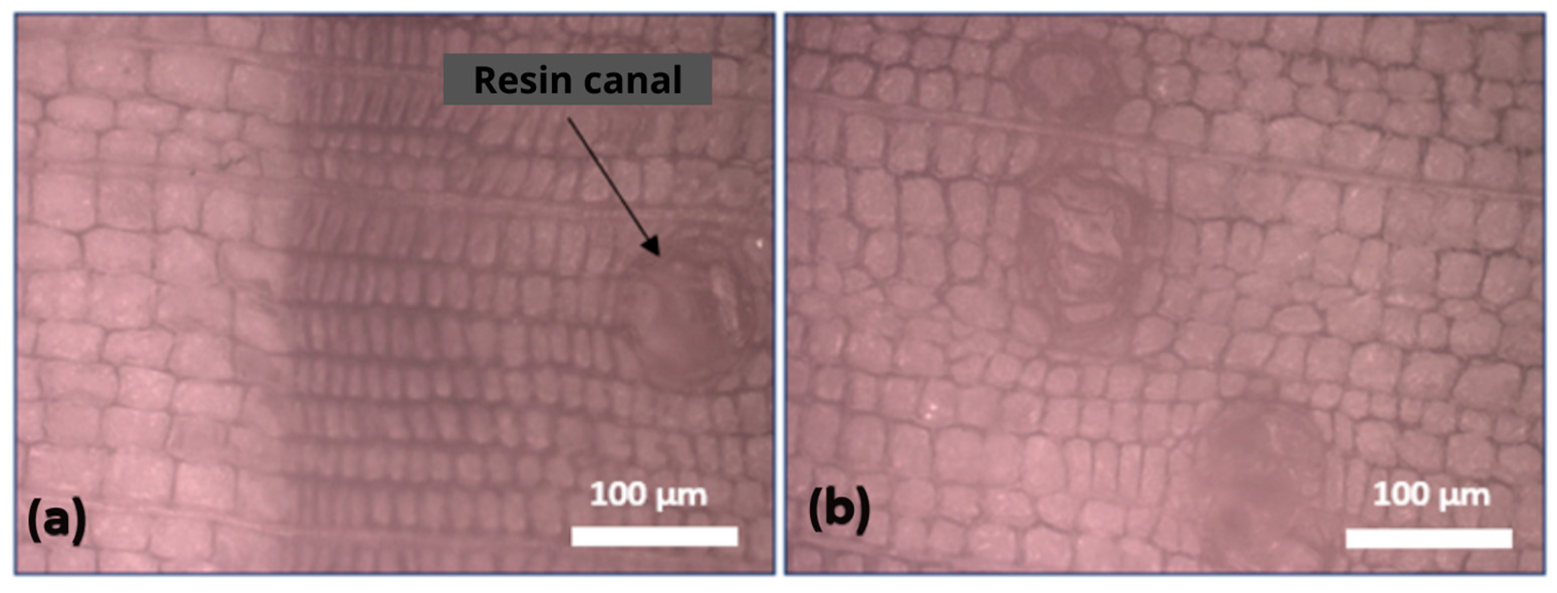 Buildings 13 02929 g012