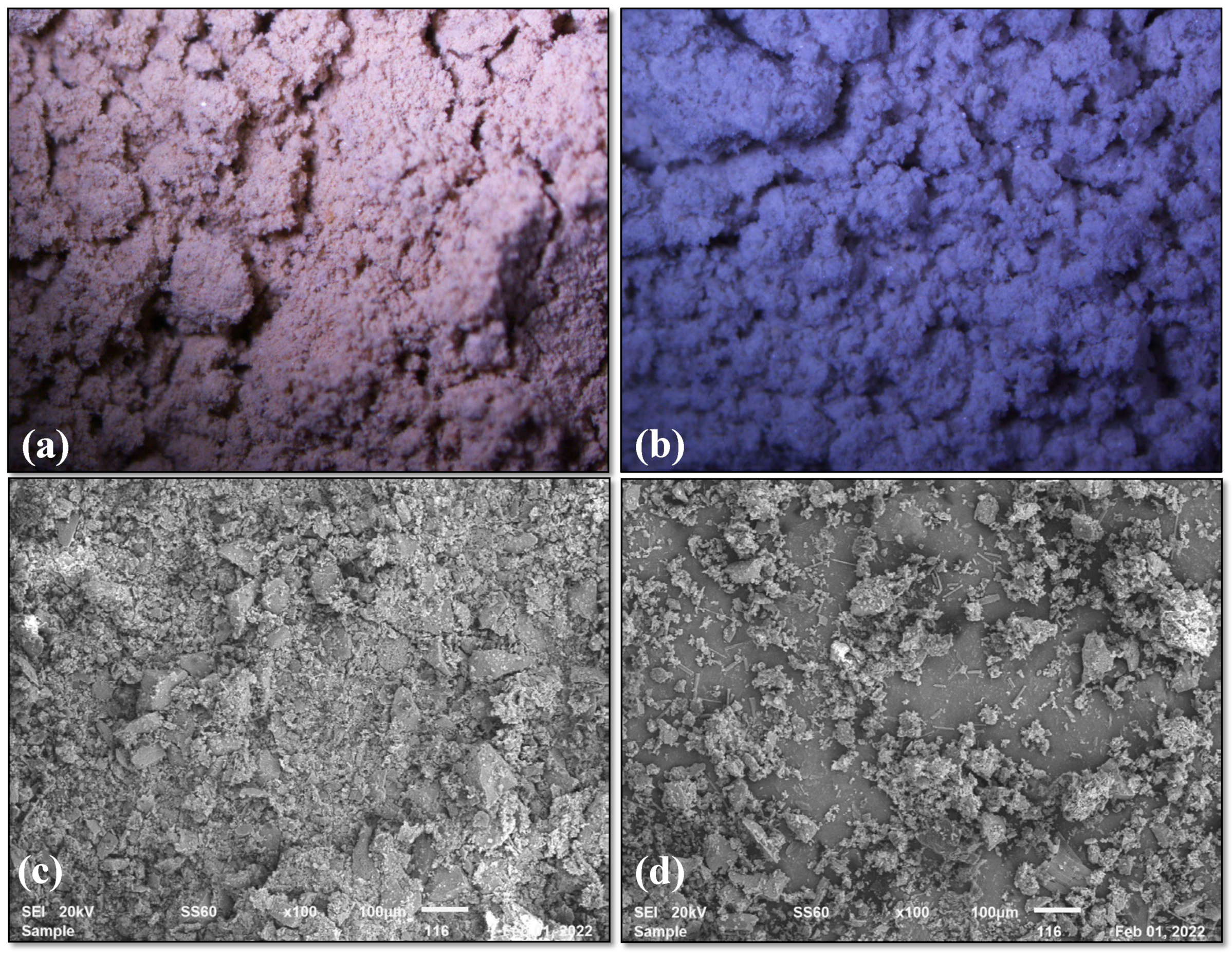 Buildings 13 03065 g004