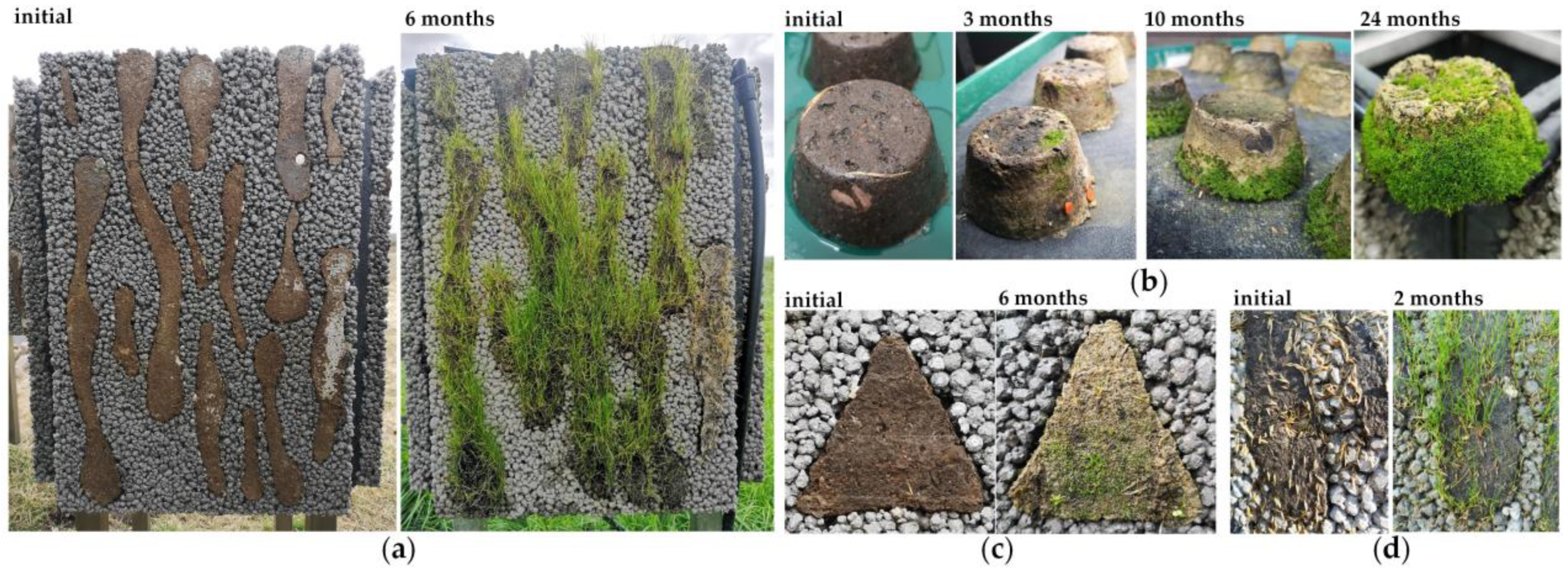 Buildings 13 03067 g002