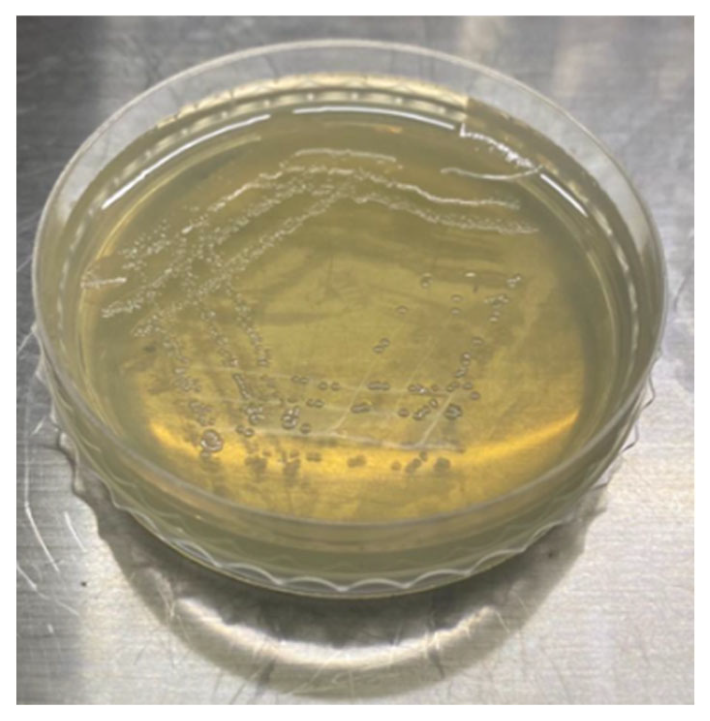 Buildings 14 00484 g003