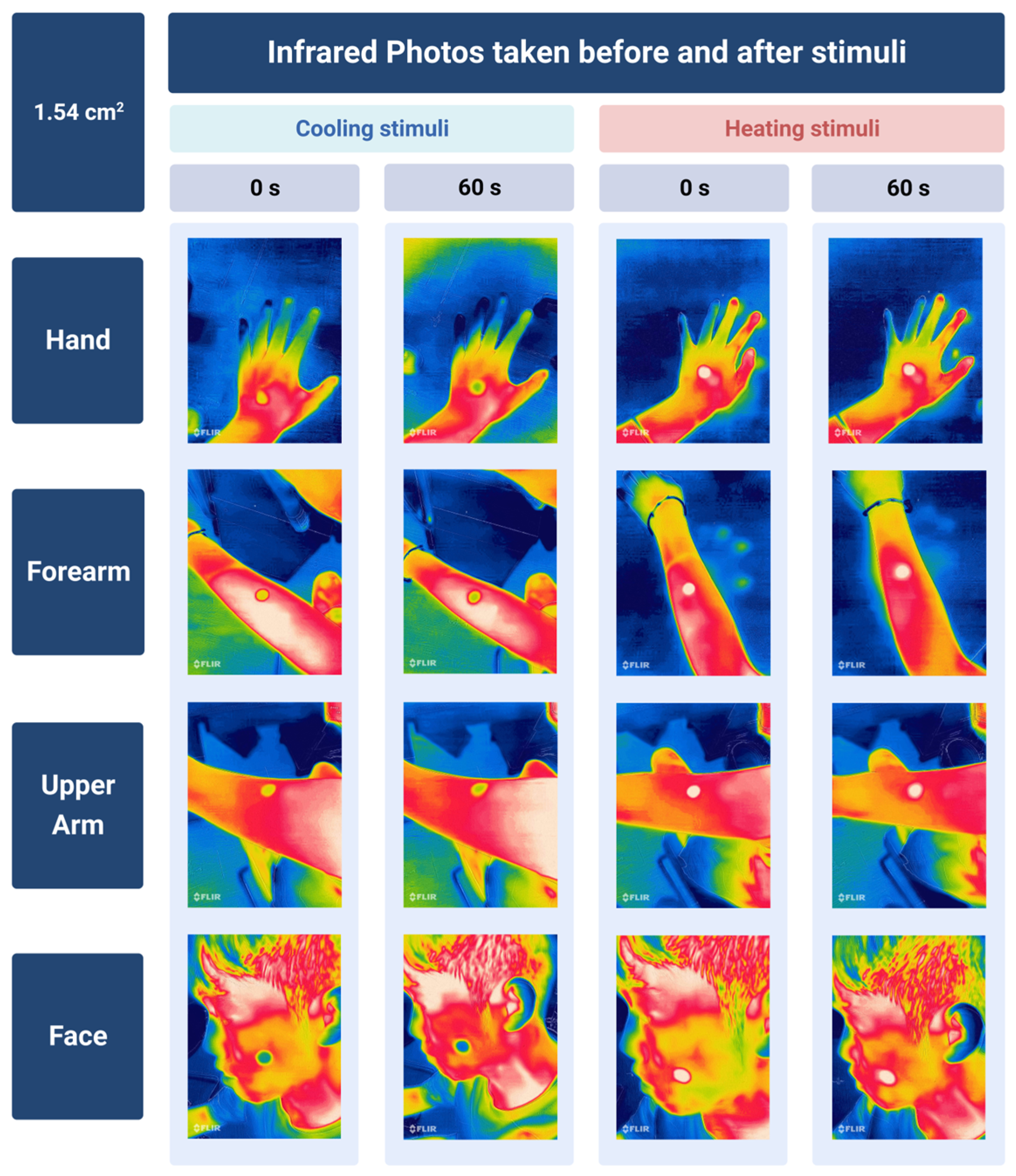 Buildings 14 00547 g004