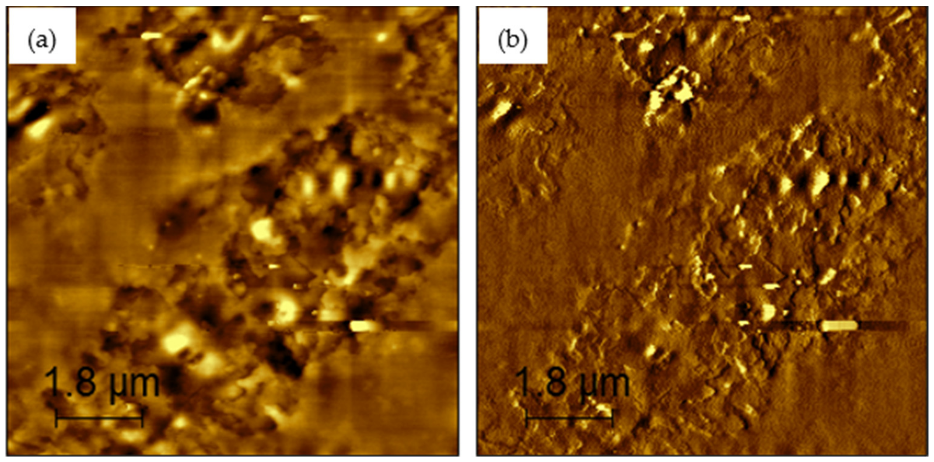 Buildings 14 00642 g010