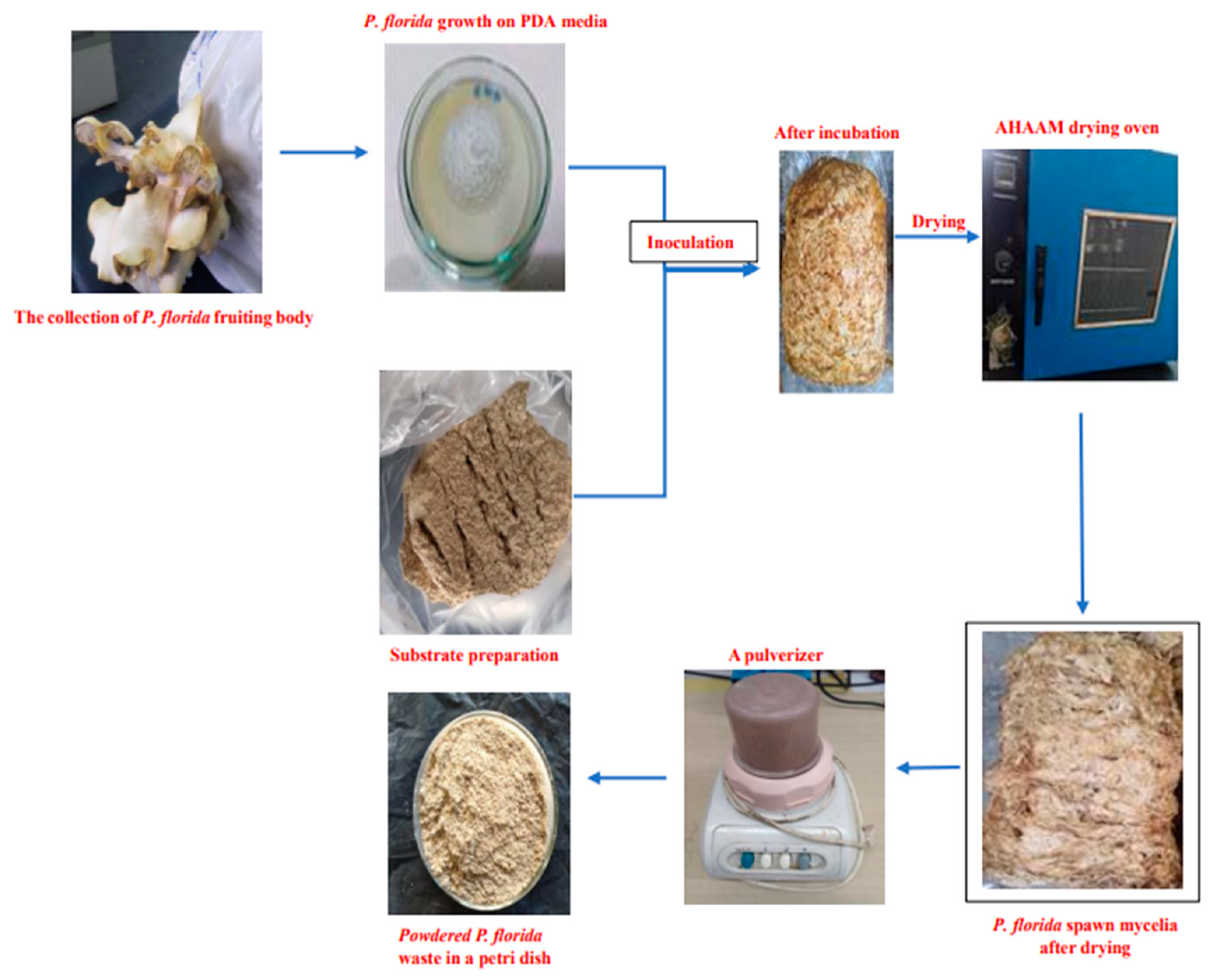 Buildings 14 00736 g005