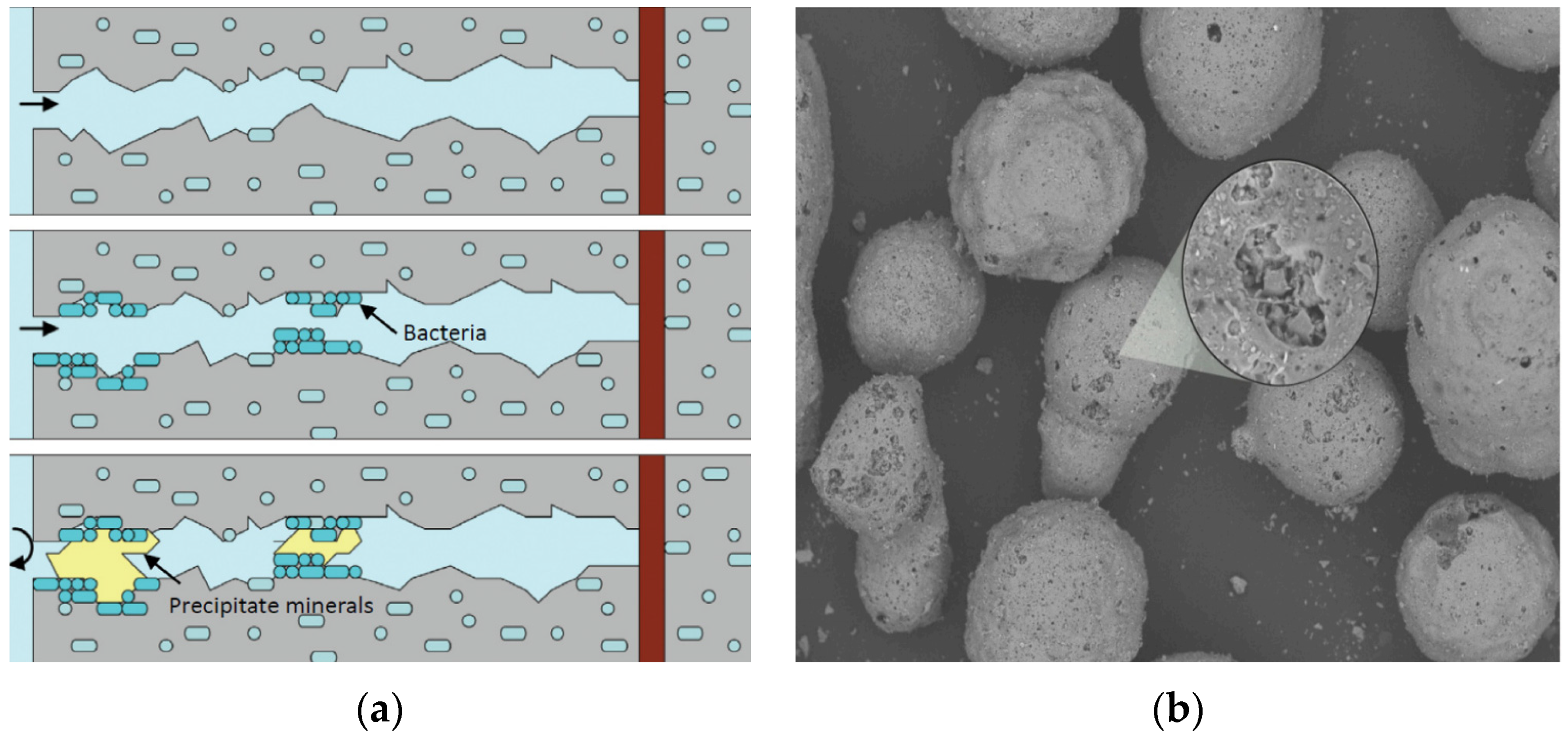 Buildings 14 00961 g002