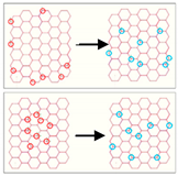 Buildings 14 01086 i004