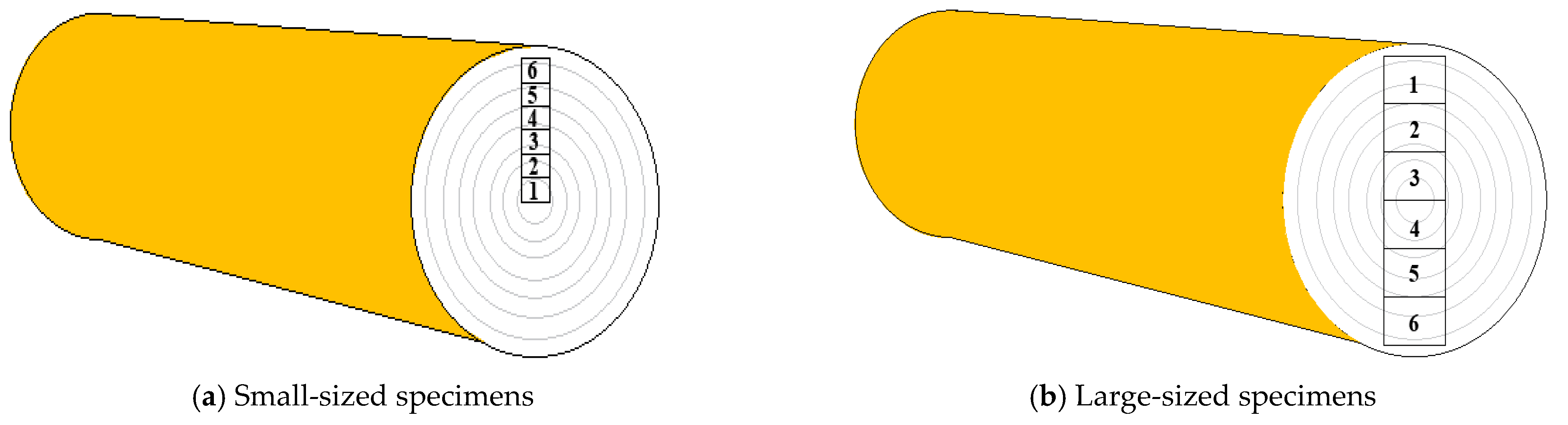 Buildings 14 01156 g001