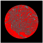 Buildings 14 01217 i005