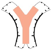 Buildings 14 01295 i021