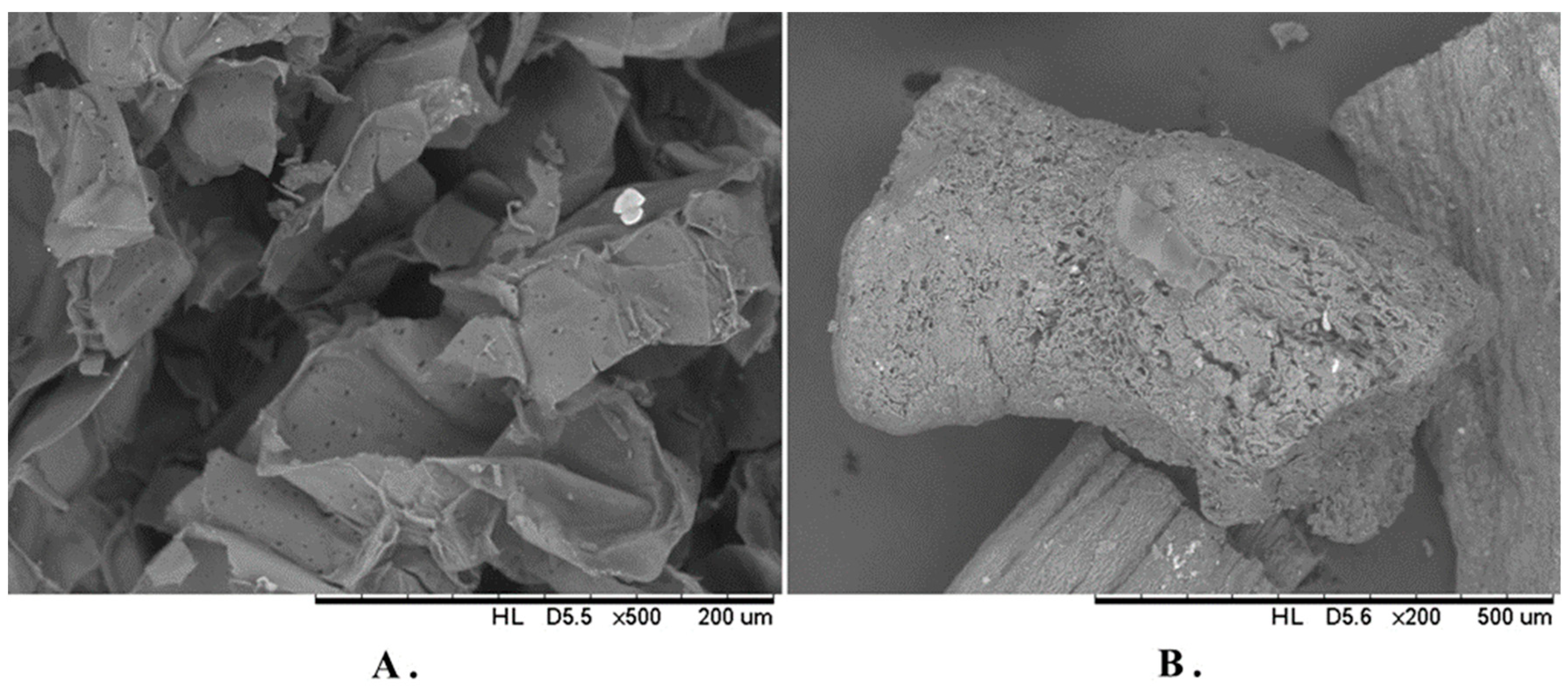 Buildings 14 01403 g003