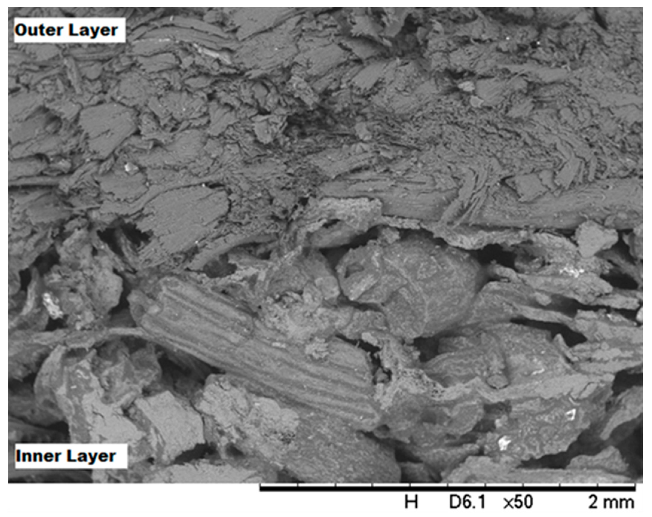 Buildings 14 01403 g005