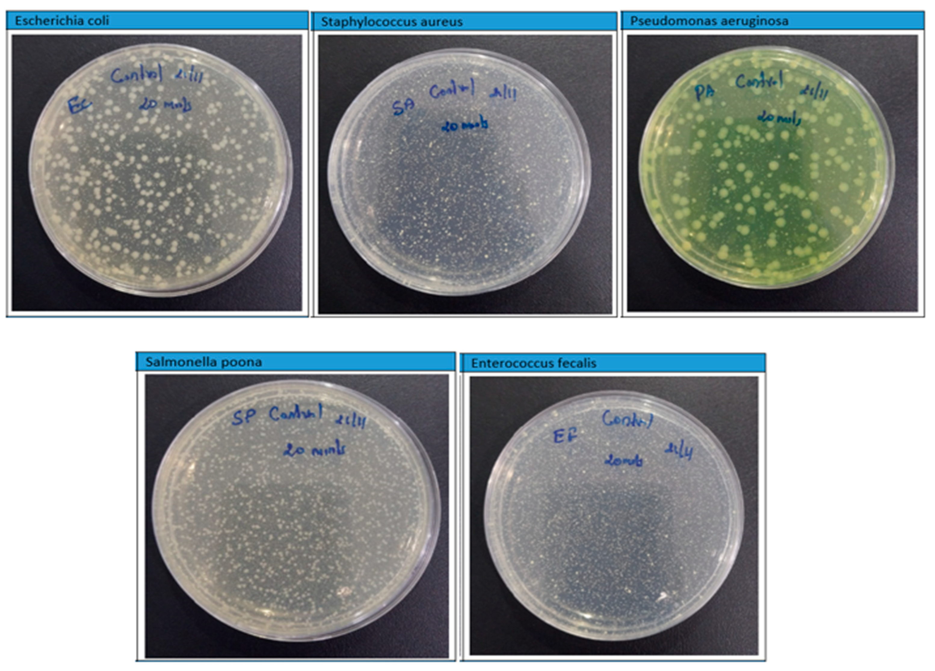 Buildings 14 01717 g010