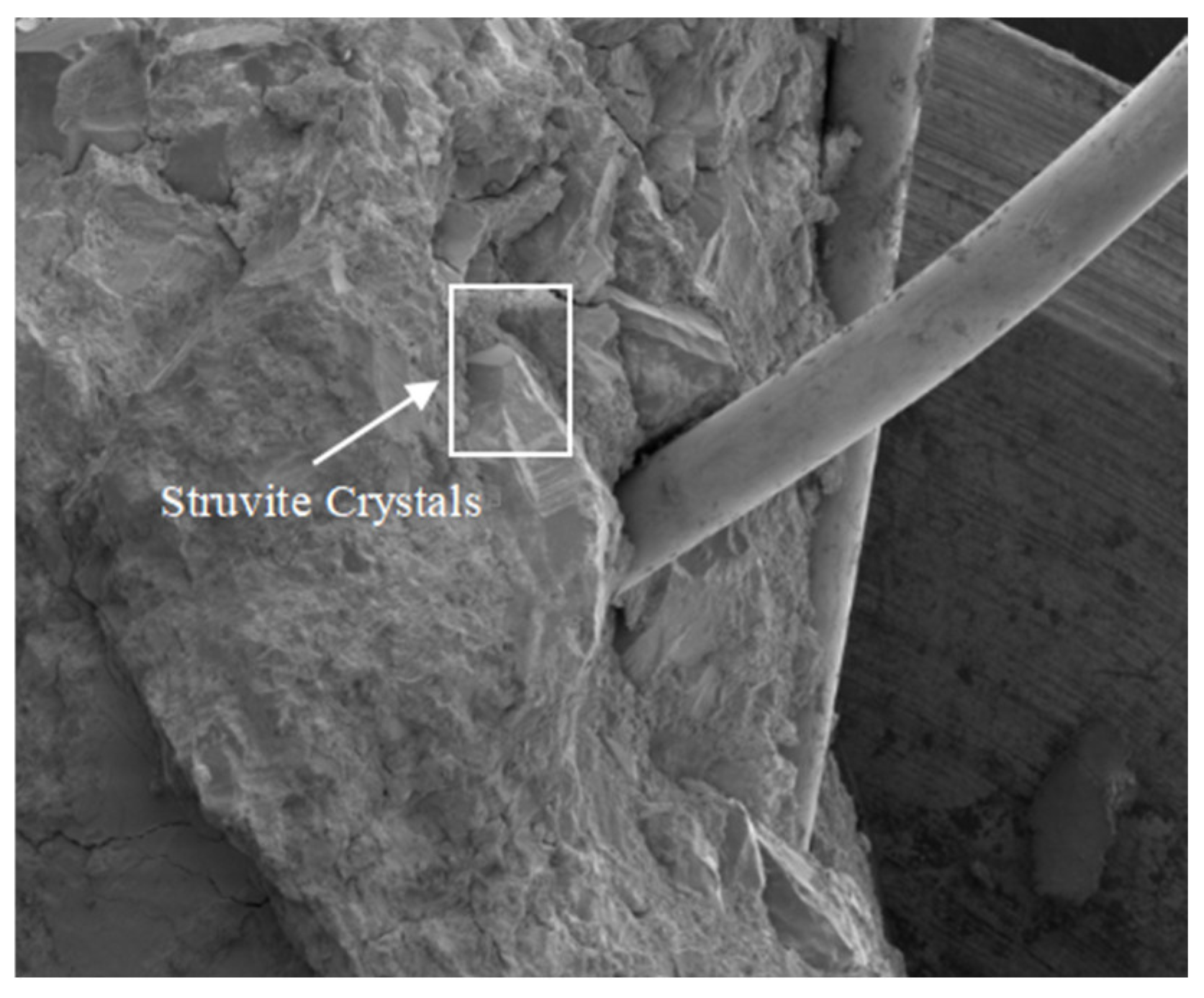 Buildings 14 02124 g003