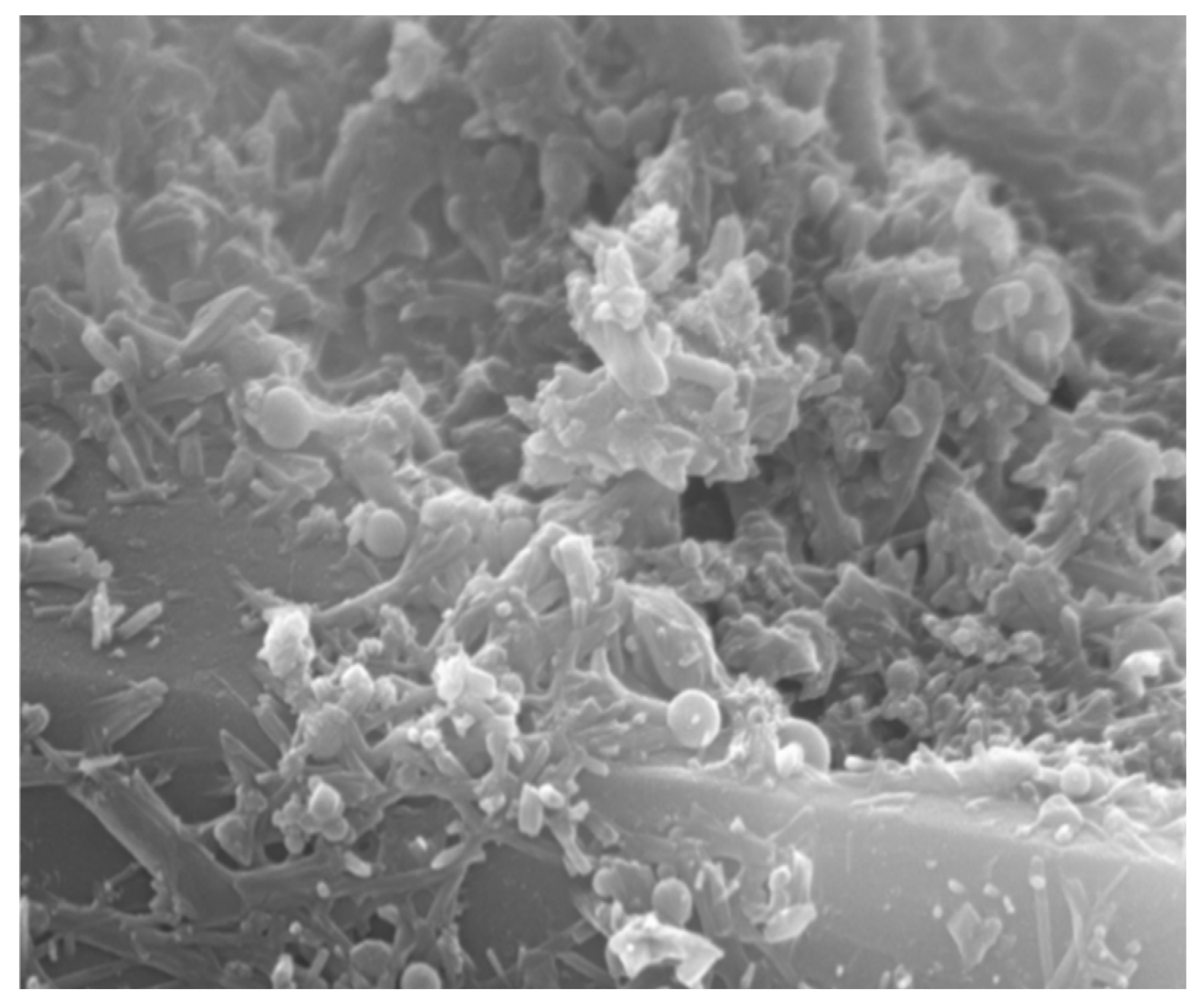 Buildings 14 02124 g008