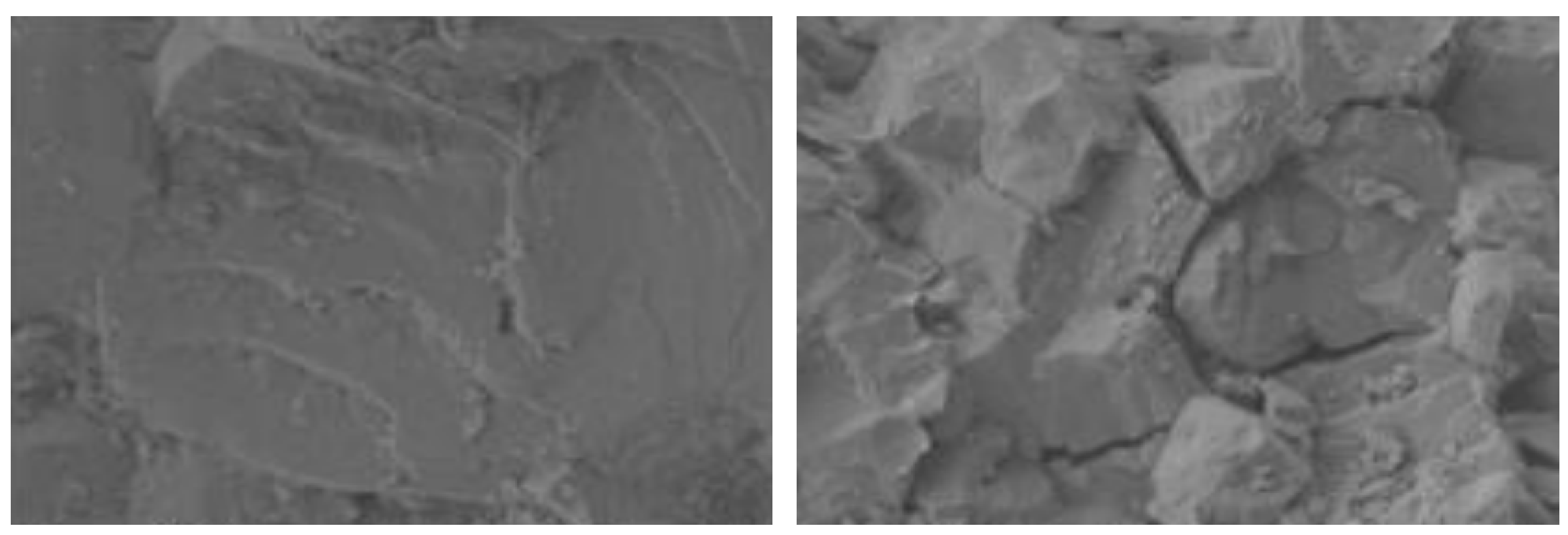 Buildings 14 02339 g001