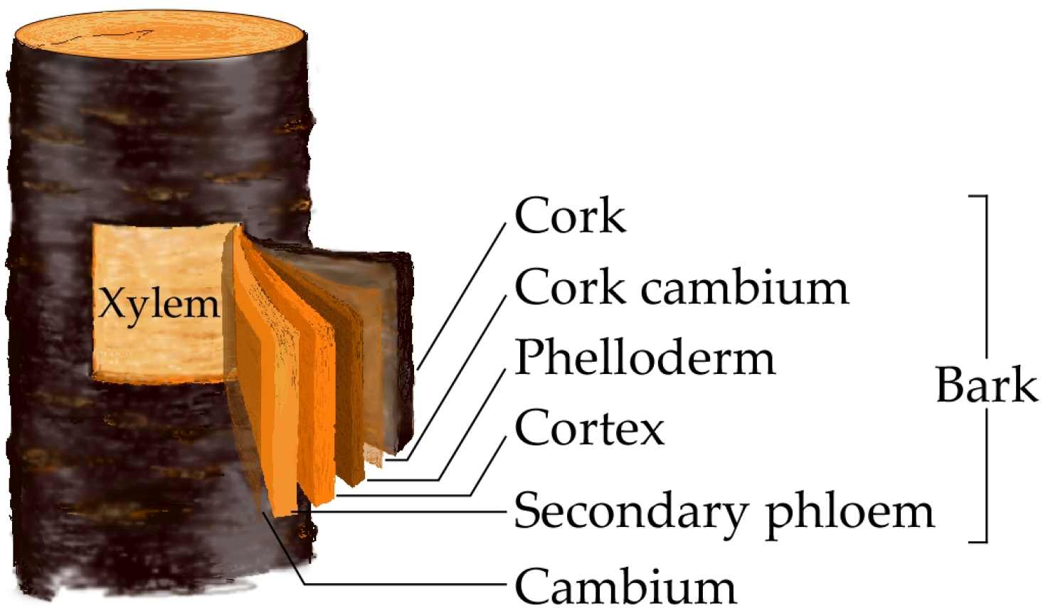 Buildings 14 02411 g002 Buildings 14 02411 g002