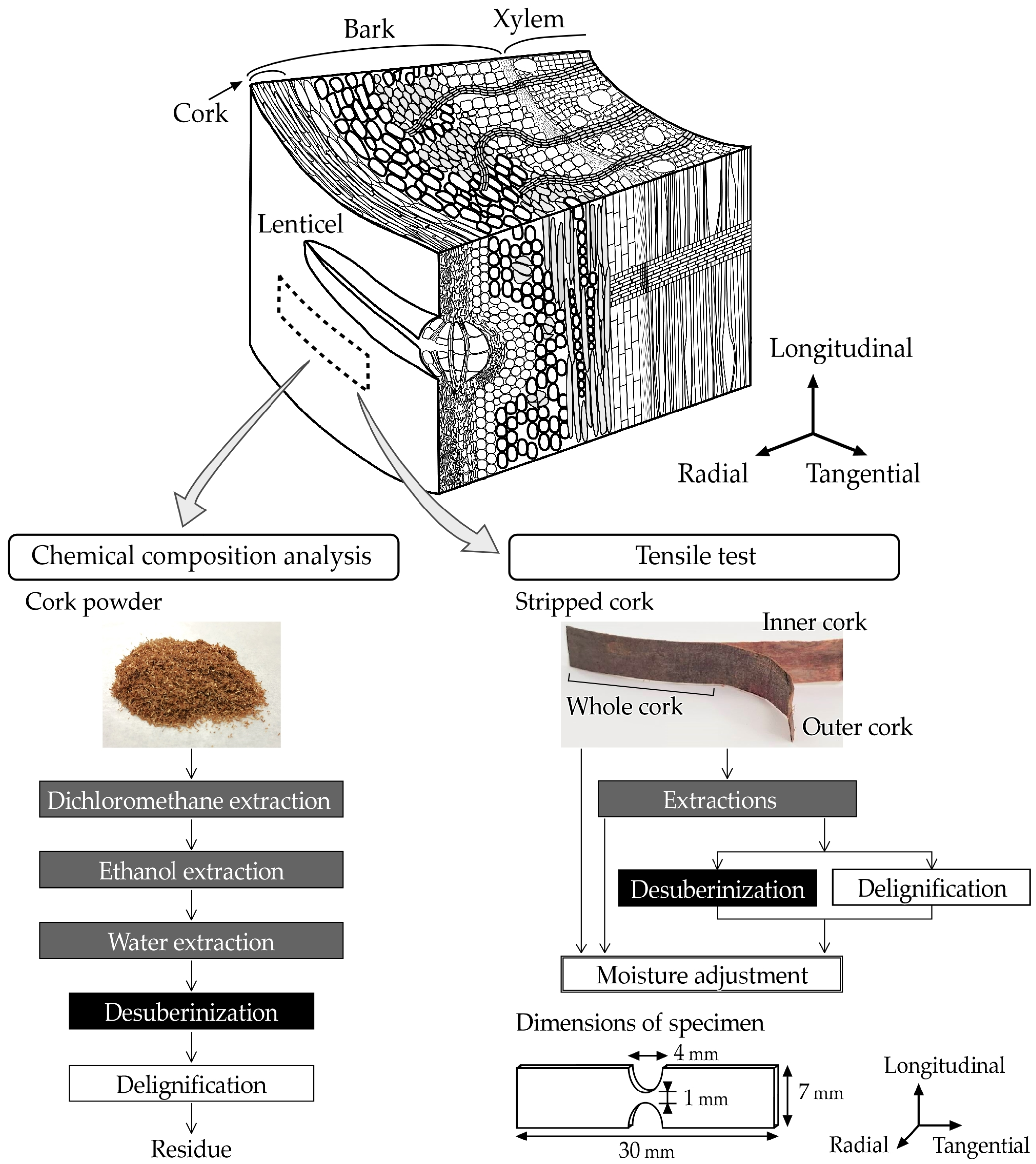 Buildings 14 02411 g003 Buildings 14 02411 g003