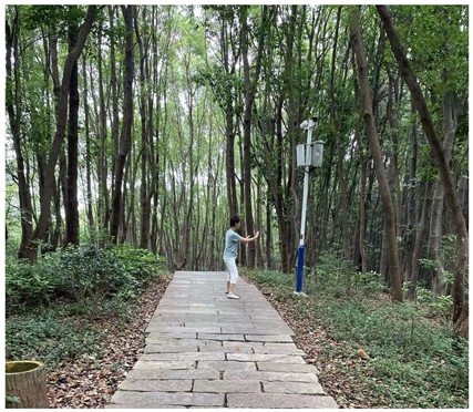 Buildings 14 02671 i004