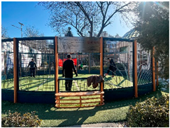 Buildings 14 02742 i008