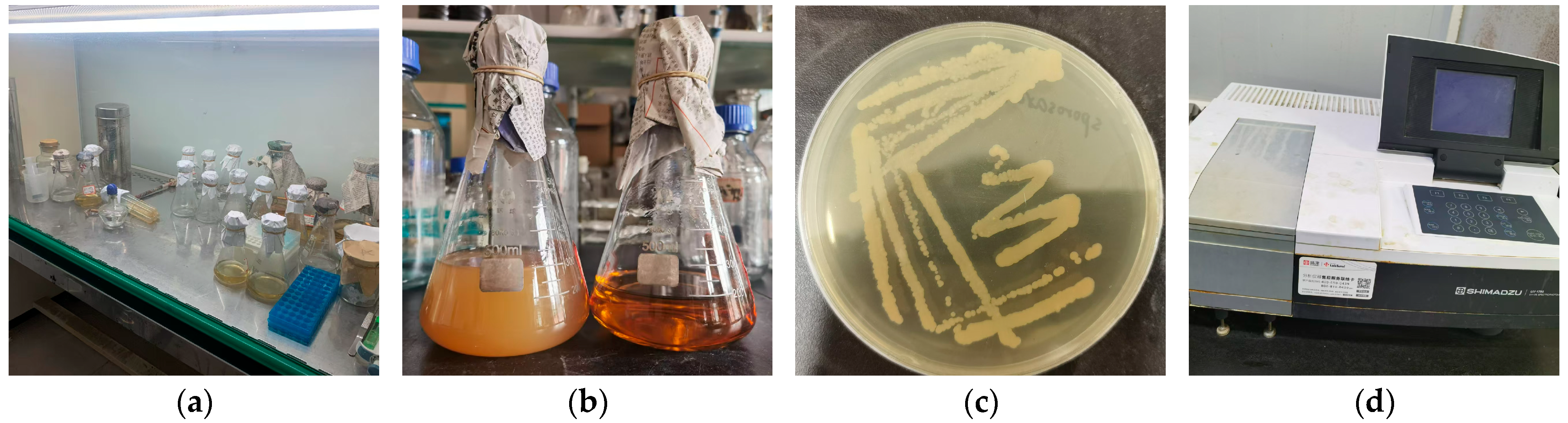 Buildings 14 02851 g003