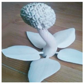 Buildings 14 02866 i011