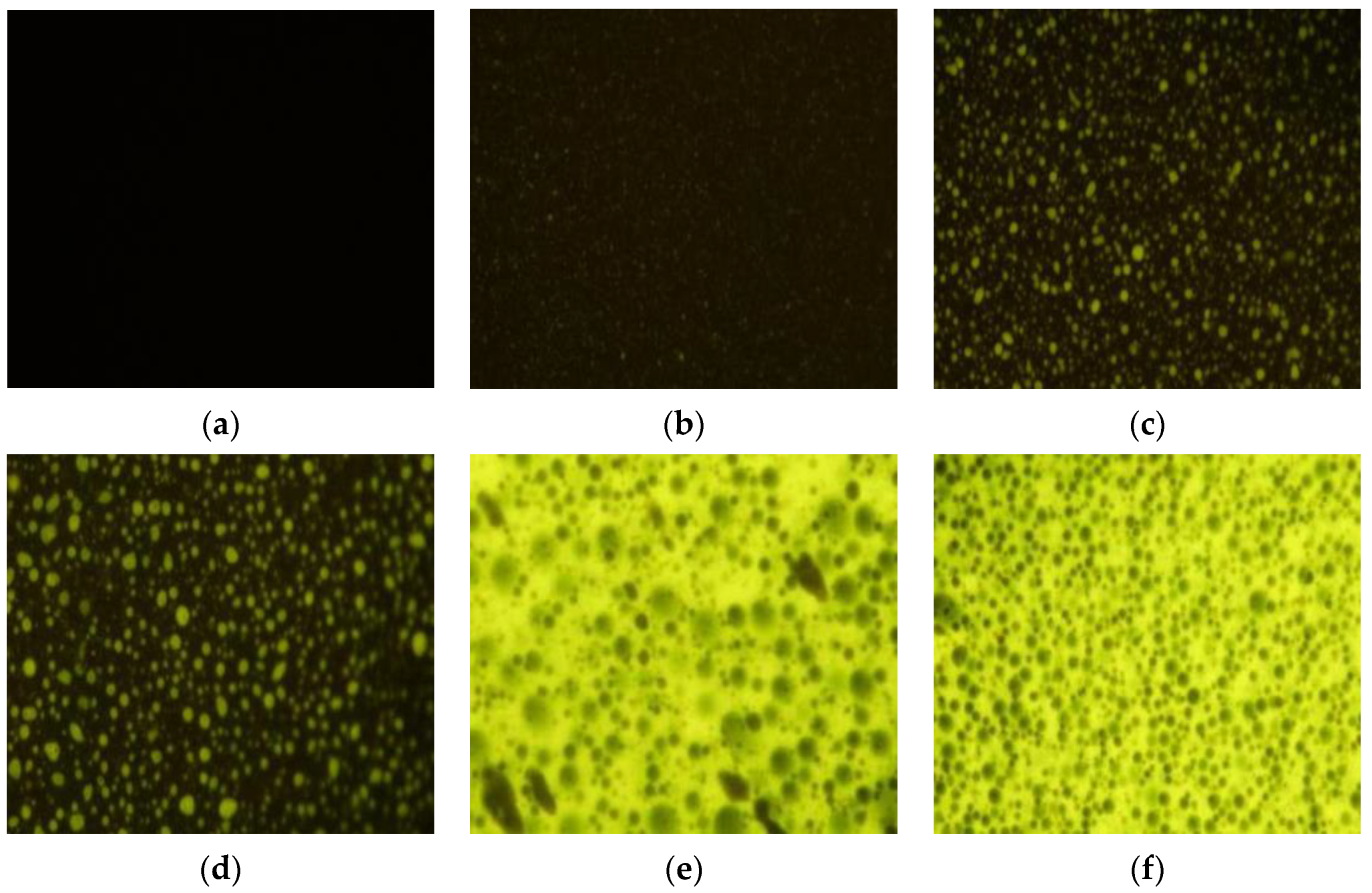 Buildings 14 03061 g012