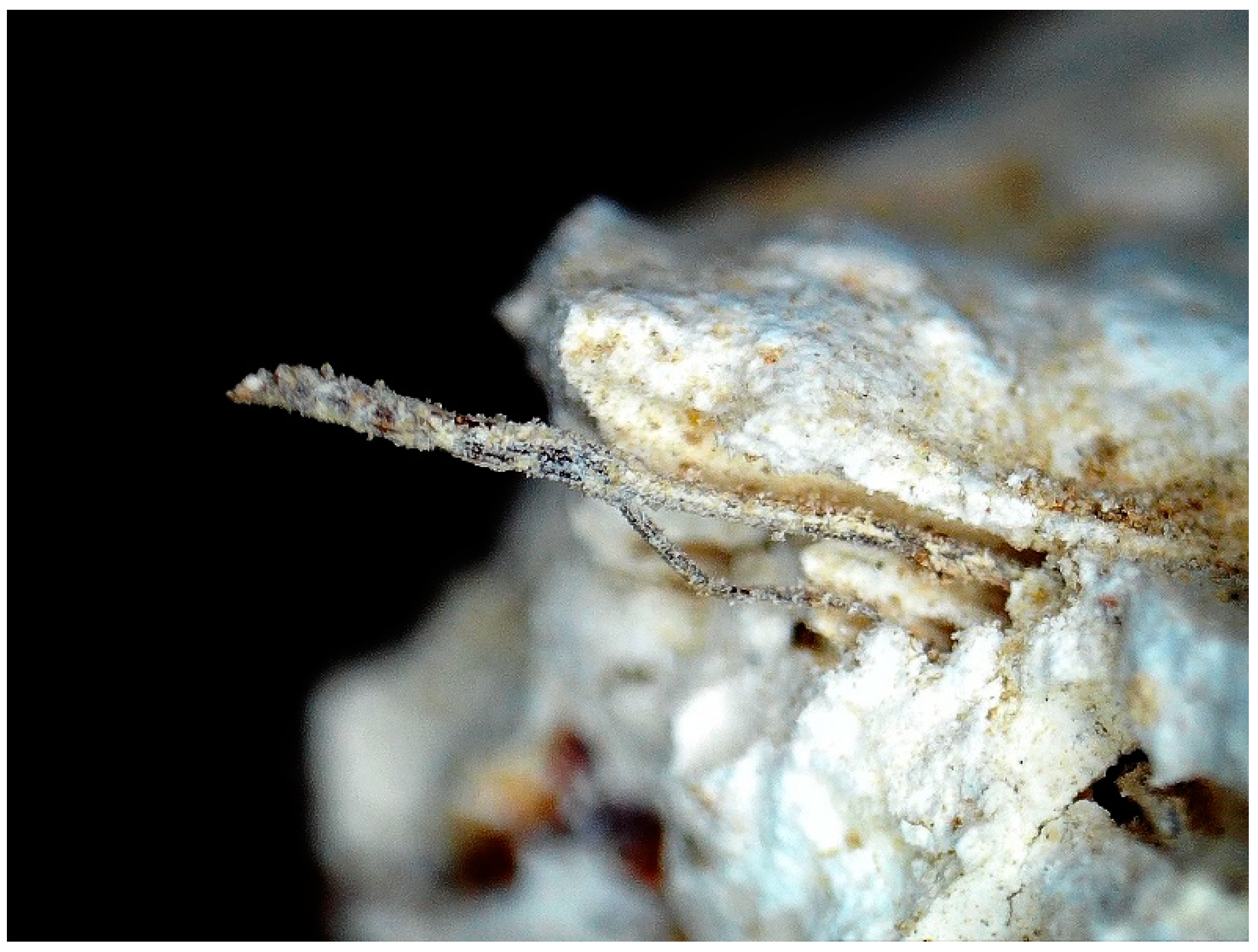 Buildings 14 03178 g008