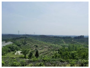 Buildings 14 03535 i015