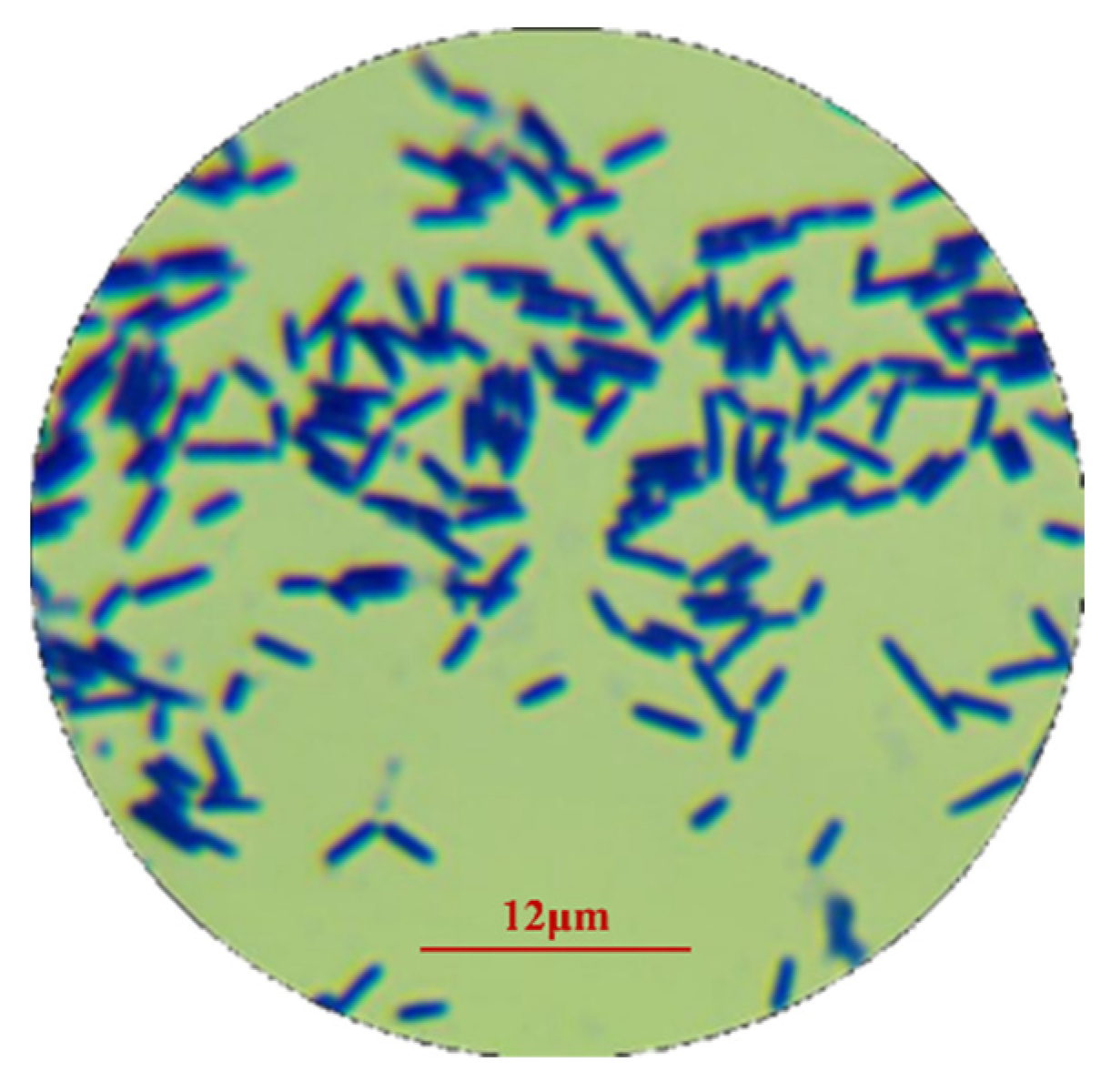 Buildings 14 03609 g001