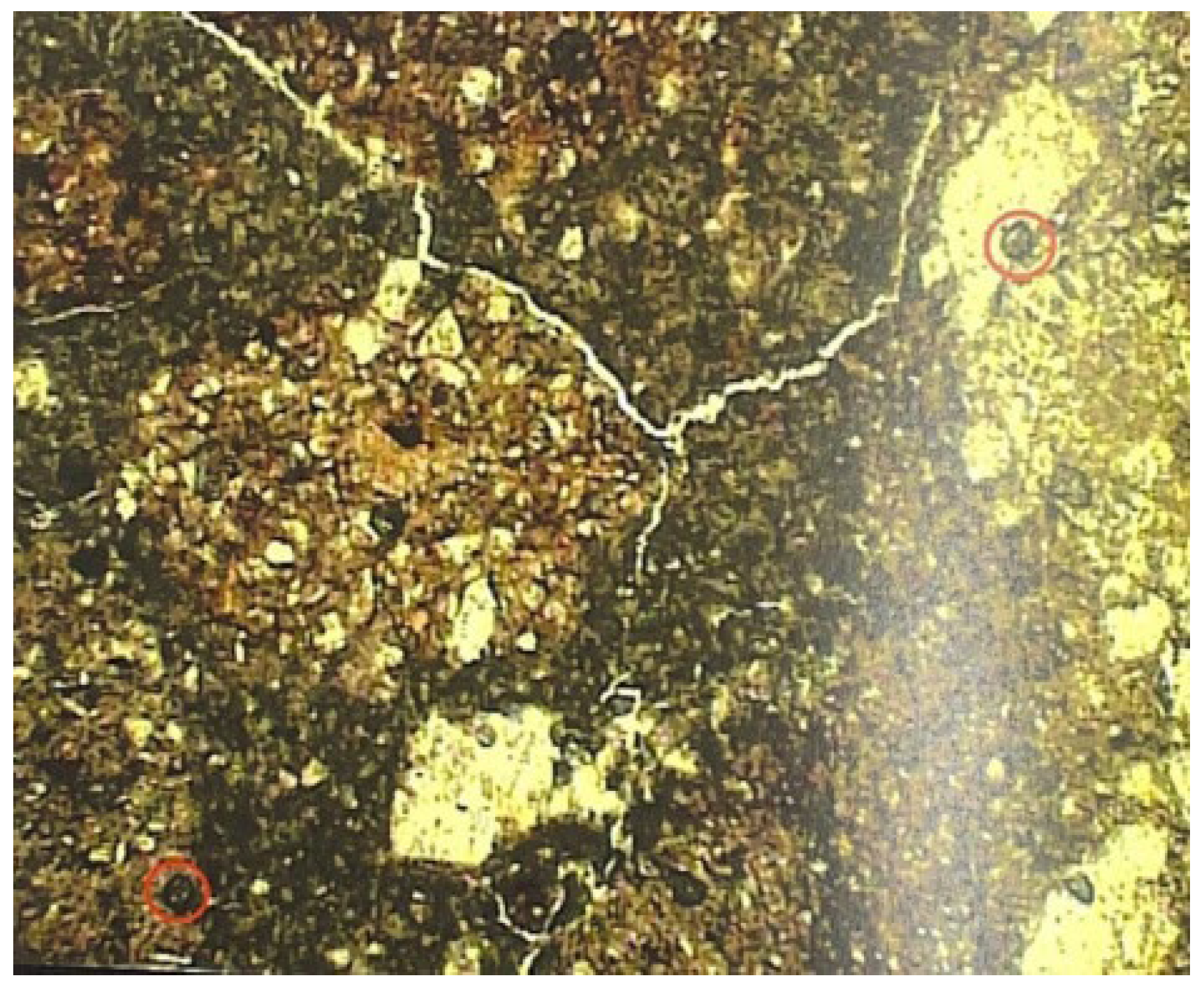 Buildings 14 03636 g007