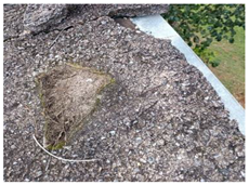 Buildings 15 00142 i009