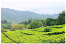 Buildings 15 00259 i001