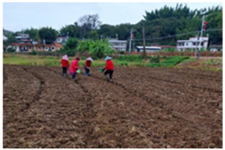 Buildings 15 00259 i003