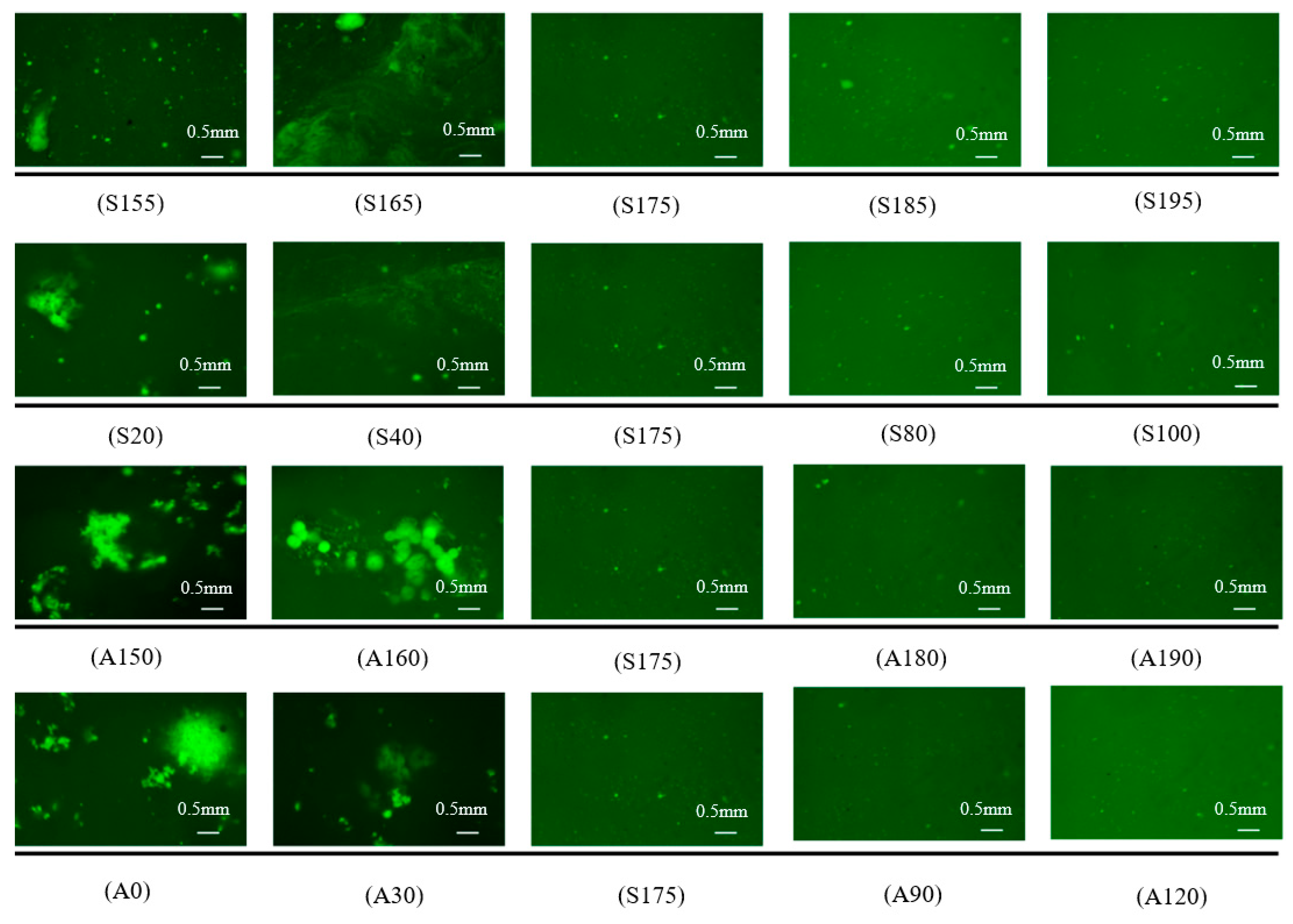 Buildings 15 00281 g008