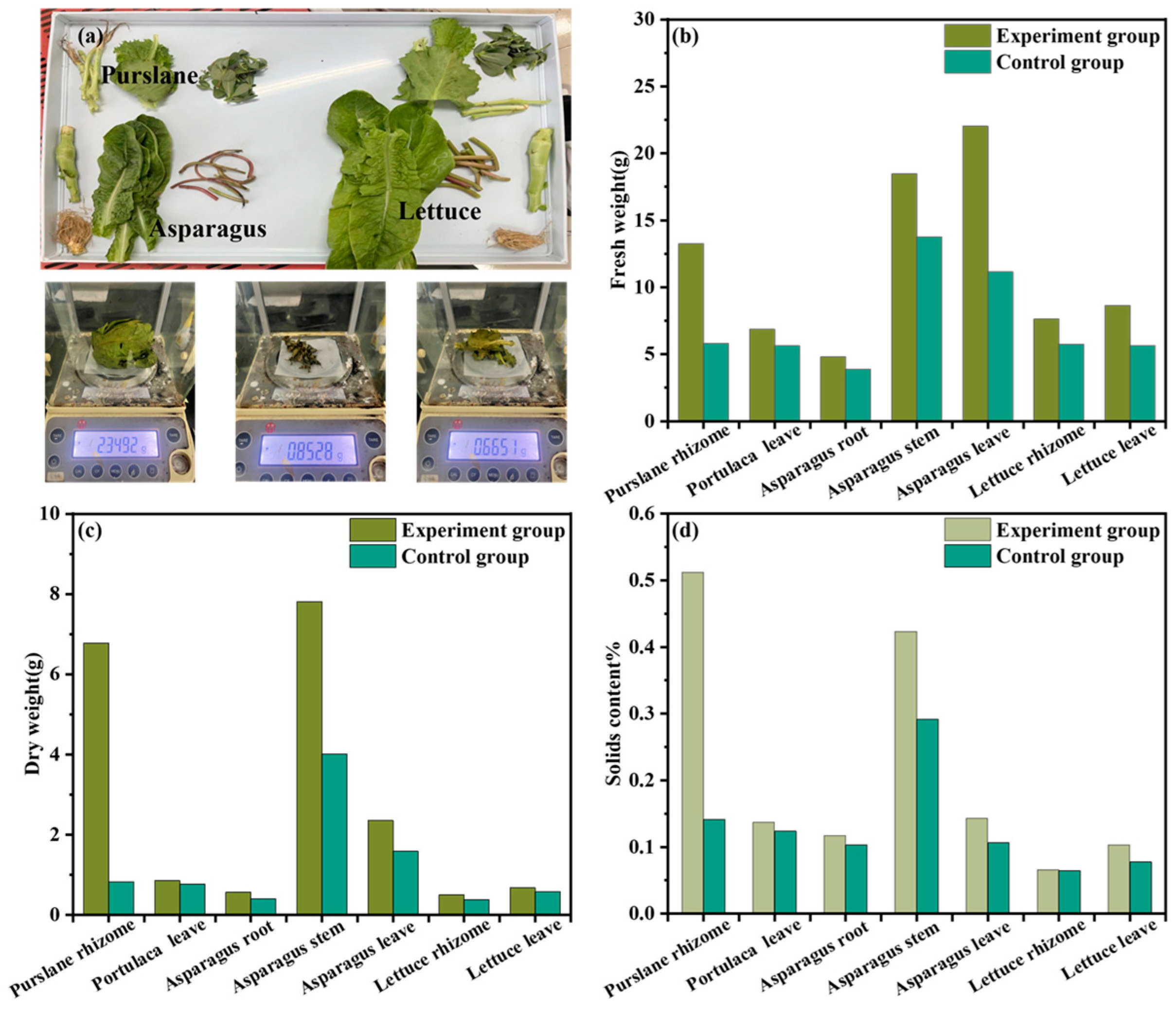 Buildings 15 00314 g015