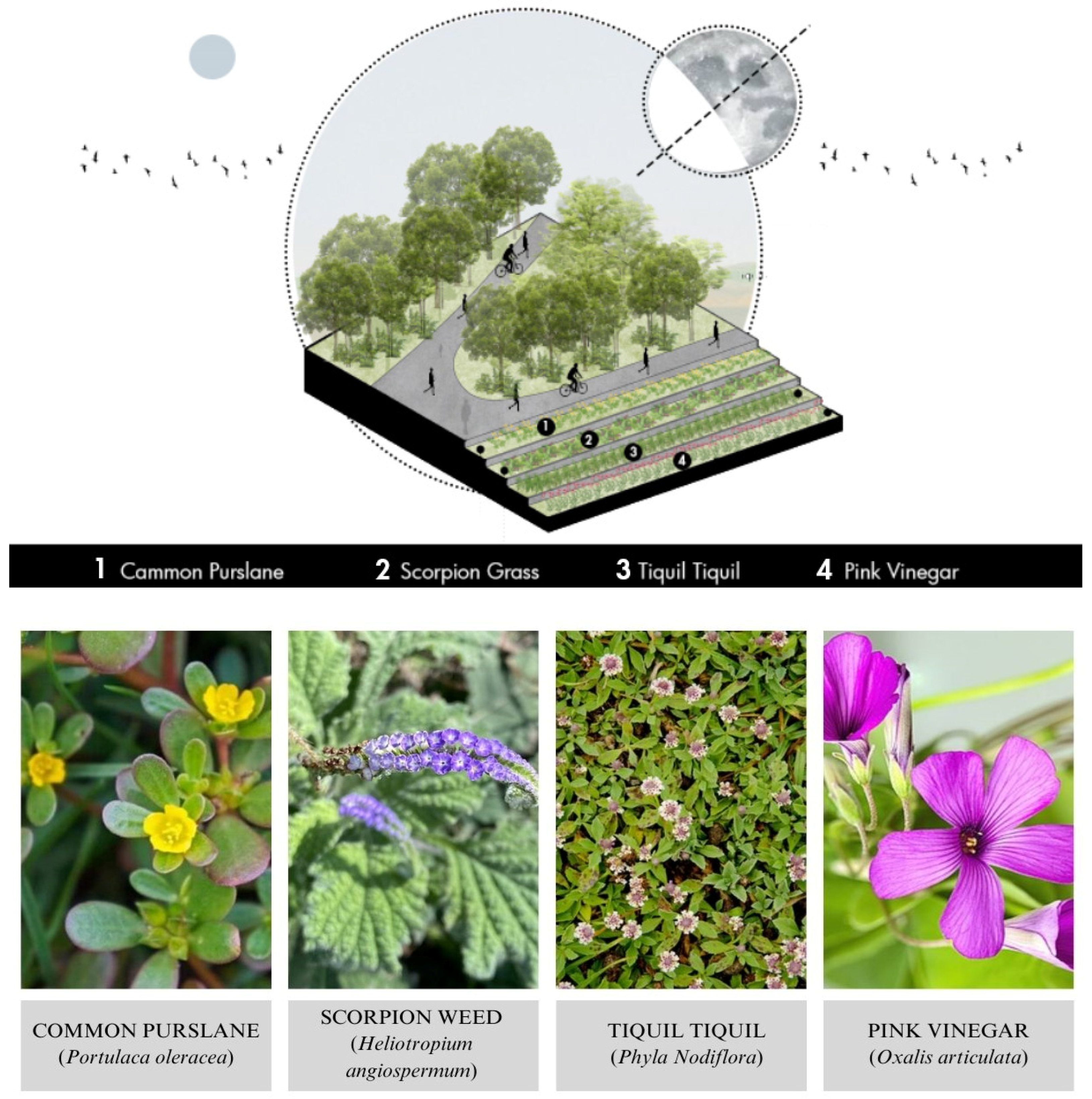 Buildings 15 00355 g018