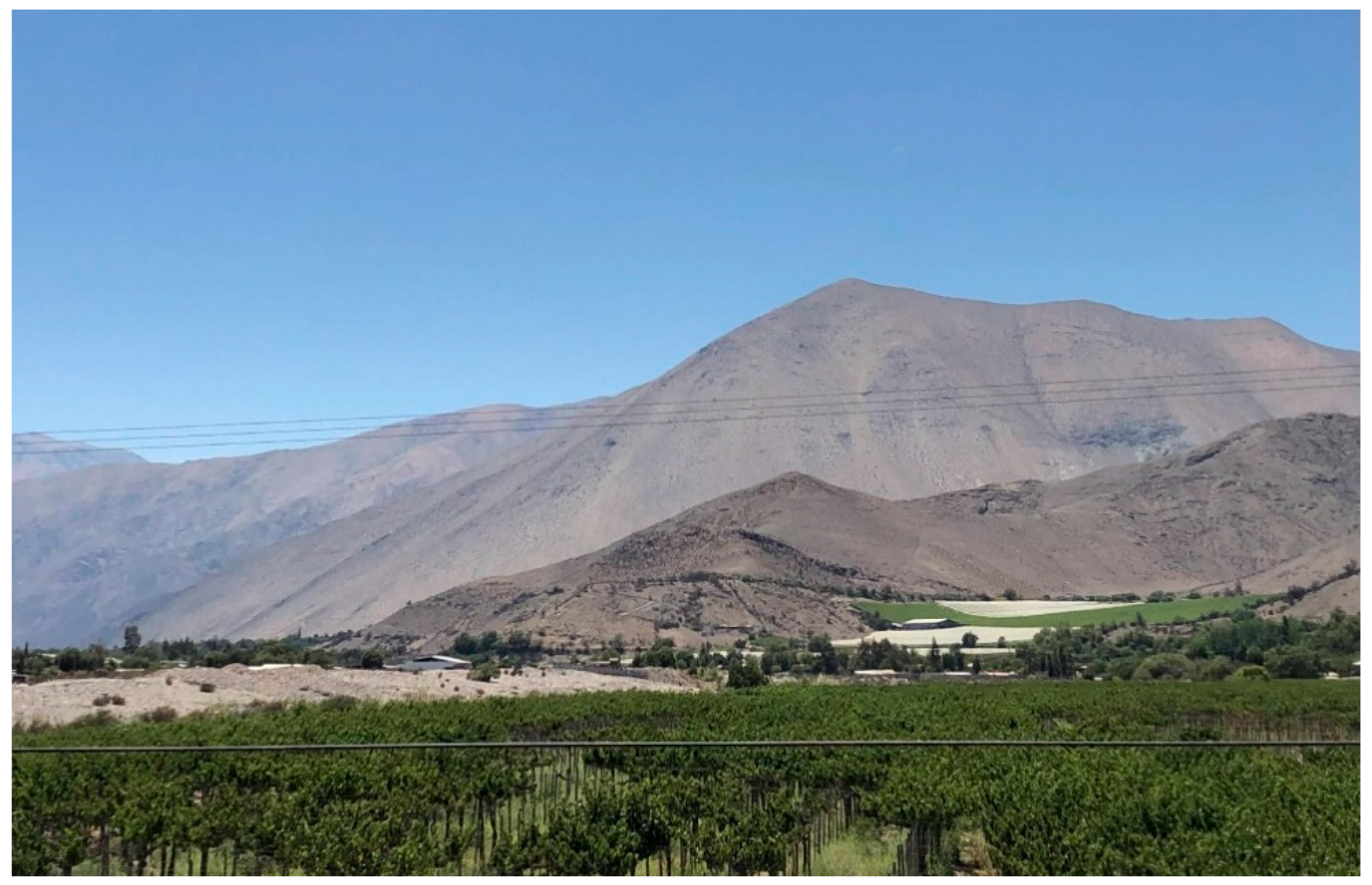 Buildings 15 00491 g001