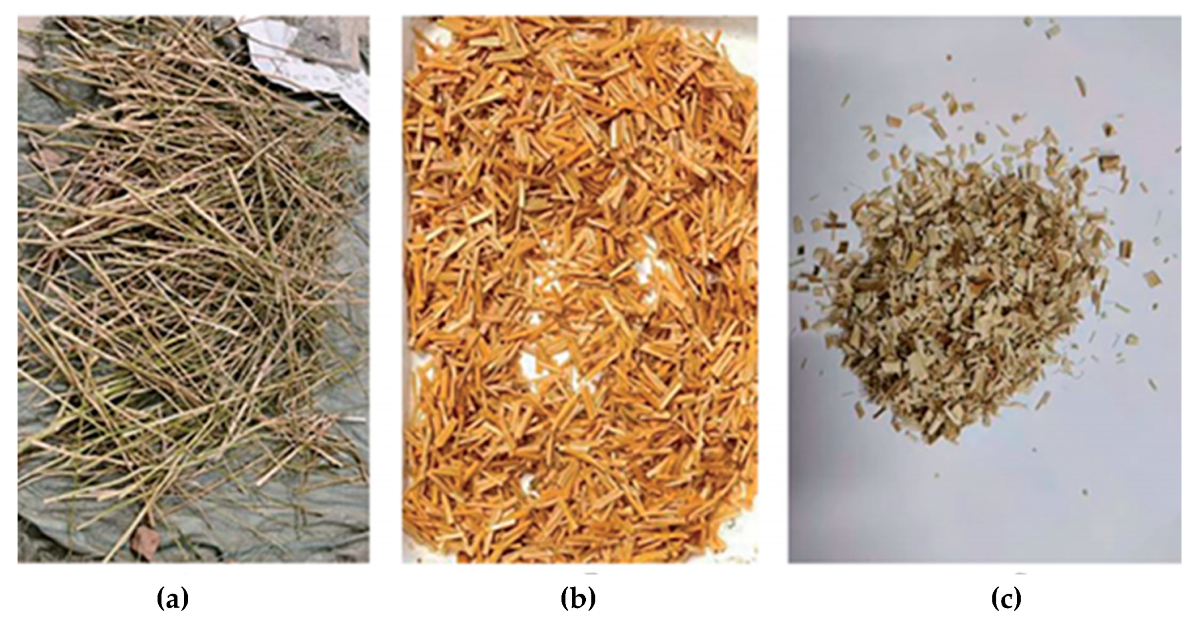 Buildings 15 00767 g001