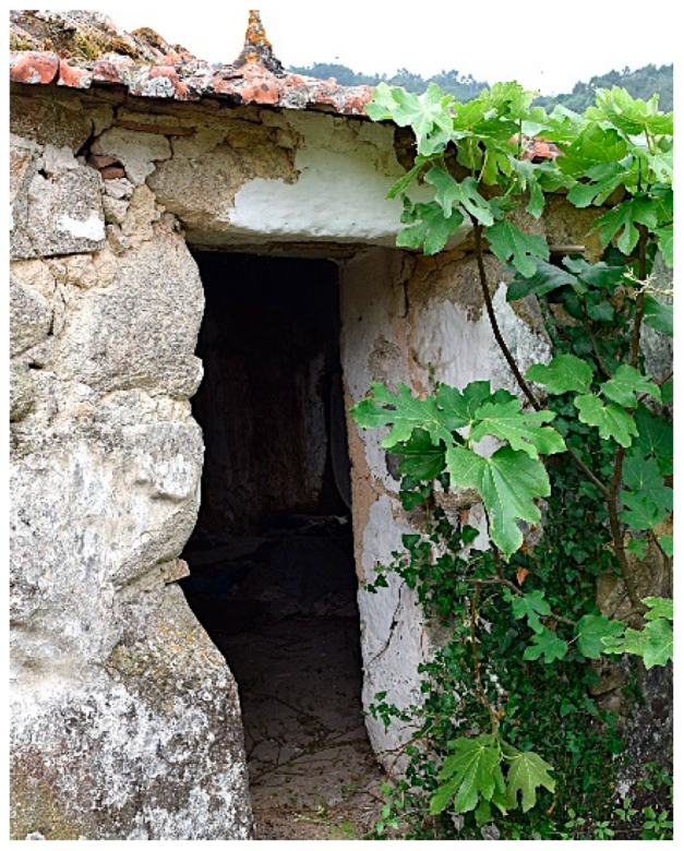 Buildings 15 01009 g009